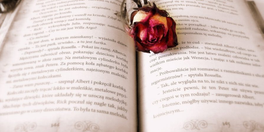 książka i róża